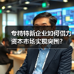 专精特新企业如何借力资本市场实现突围？（图3）