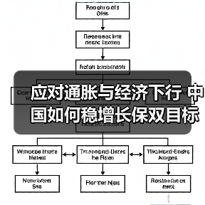 应对通胀与经济下行 中国如何稳增长保双目标？（图3）