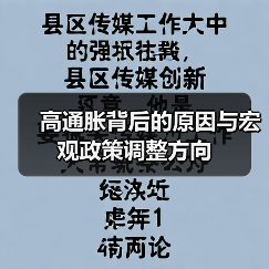 高通胀背后的原因与宏观政策调整方向(图1) 高通胀背后的原因与宏观政策调整方向(图1)