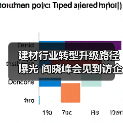 建材行业转型升级路径曝光 阎晓峰会见到访企业代表（图2）