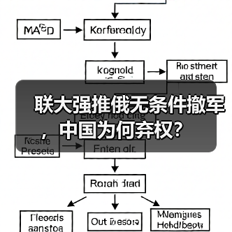 联大强推俄无条件撤军，中国为何弃权？（图2）