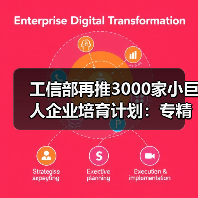 工信部再推3000家小巨人企业培育计划:专精特新如何突围?(图3) 工信部再推3000家小巨人企业培育计划:专精特新如何突围?(图3)