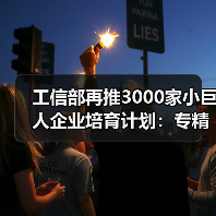 工信部再推3000家小巨人企业培育计划:专精特新如何突围?(图4) 工信部再推3000家小巨人企业培育计划:专精特新如何突围?(图4)