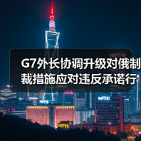 G7外长协调升级对俄制裁措施应对违反承诺行为（图3）