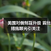 美国对俄制裁升级 首批措施曝光引关注（图1）