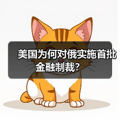 美国为何对俄实施首批金融制裁？（图4）