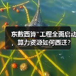 东数西算 东数西算
