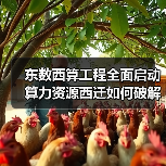 东数西算工程全面启动 算力资源西迁如何破解供需失衡?(图1) 东数西算工程全面启动 算力资源西迁如何破解供需失衡?(图1)