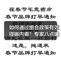 如何通过组合政策有效提振内需？专家八点建议解析（图2）
