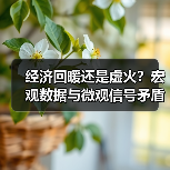 经济回暖还是虚火?宏观数据与微观信号矛盾解析(图2) 经济回暖还是虚火?宏观数据与微观信号矛盾解析(图2)