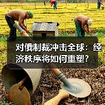 对俄制裁冲击全球:经济秩序将如何重塑?(图1) 对俄制裁冲击全球:经济秩序将如何重塑?(图1)