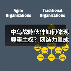 中乌战略伙伴如何体现尊重主权?团结力量成关键(图4) 中乌战略伙伴如何体现尊重主权?团结力量成关键(图4)