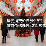 居民消费价微涨0.9% 猪肉价格暴跌42% 经济复苏数据揭秘(图4) 居民消费价微涨0.9% 猪肉价格暴跌42% 经济复苏数据揭秘(图4)