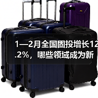 1—2月全国固投增长12.2%,哪些领域成为新增长点?(图2) 1—2月全国固投增长12.2%,哪些领域成为新增长点?(图2)