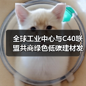 全球工业中心与C40联盟共商绿色低碳建材发展大计(图1) 全球工业中心与C40联盟共商绿色低碳建材发展大计(图1)