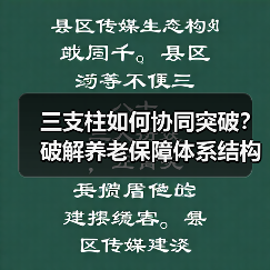 三支柱如何协同突破?破解养老保障体系结构性难题(图2) 三支柱如何协同突破?破解养老保障体系结构性难题(图2)