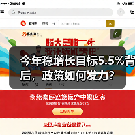 今年稳增长目标5.5%背后,政策如何发力?(图2) 今年稳增长目标5.5%背后,政策如何发力?(图2)