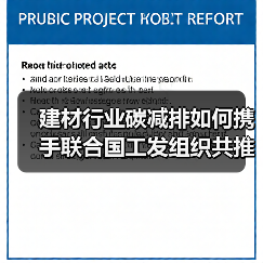 建材行业碳减排如何携手联合国工发组织共推绿色发展?(图3) 建材行业碳减排如何携手联合国工发组织共推绿色发展?(图3)