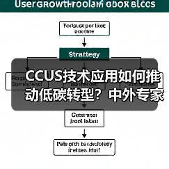 CCUS技术应用如何推动低碳转型?中外专家实地探访金隅北水青州中联项目(图3) CCUS技术应用如何推动低碳转型?中外专家实地探访金隅北水青州中联项目(图3)