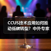 CCUS技术应用如何推动低碳转型?中外专家实地探访金隅北水青州中联项目(图4) CCUS技术应用如何推动低碳转型?中外专家实地探访金隅北水青州中联项目(图4)