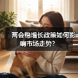 两会稳增长政策如何影响市场走势?(图2) 两会稳增长政策如何影响市场走势?(图2)
