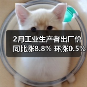 2月工业生产者出厂价同比涨8.8% 环涨0.5% 原因解析（图2）