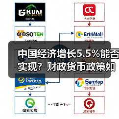 中国经济增长5.5%能否实现？财政货币政策如何发力？（图4）
