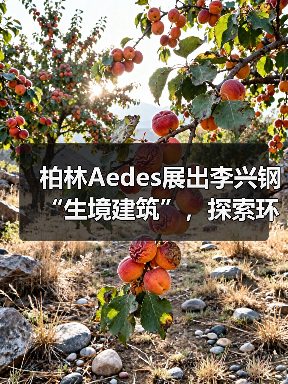 柏林Aedes展出李兴钢“生境建筑”，探索环境与空间的共生之道（图4）