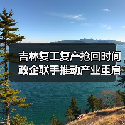 吉林复工复产抢回时间 政企联手推动产业重启（图2）