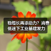 稳增长再添动力?消费低迷下工业基建发力(图2) 稳增长再添动力?消费低迷下工业基建发力(图2)