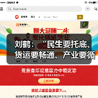 刘鹤：“民生要托底、货运要畅通、产业要循环”部署十项重任（图2）
