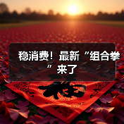 稳消费！最新“组合拳”来了（图3）
