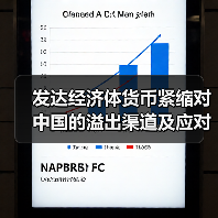 发达经济体货币紧缩对中国的溢出渠道及应对（图4）