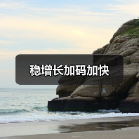 稳增长加码加快（图4）