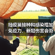随疫苗接种和感染增加免疫力，新冠伤害会渐低（图1）
