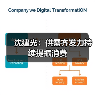 沈建光：供需齐发力持续提振消费（图4）
