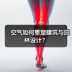空气如何重塑建筑与园林设计?(图3) 空气如何重塑建筑与园林设计?(图3)