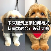未来建筑屋顶如何与光伏美学融合?设计大赛开启绿色建筑新纪元(图3) 未来建筑屋顶如何与光伏美学融合?设计大赛开启绿色建筑新纪元(图3)