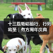 十三载砥砺前行，行则将至｜有方周年庆典（图1）