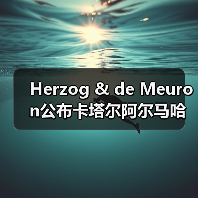 Herzog & de Meuron公布卡塔尔阿尔马哈岛总体规划（图1）