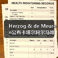 Herzog & de Meuron公布卡塔尔阿尔马哈岛总体规划（图3）