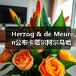 Herzog & de Meuron公布卡塔尔阿尔马哈岛总体规划(图2) Herzog & de Meuron公布卡塔尔阿尔马哈岛总体规划(图2)