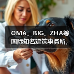 OMA、BIG、ZHA等国际知名建筑事务所,共筑阿尔巴尼亚天际线(图4) OMA、BIG、ZHA等国际知名建筑事务所,共筑阿尔巴尼亚天际线(图4)