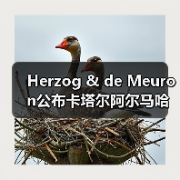 Herzog & de Meuron公布卡塔尔阿尔马哈岛总体规划(图4) Herzog & de Meuron公布卡塔尔阿尔马哈岛总体规划(图4)