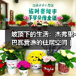 坡顶下的生活:杰弗里·巴瓦营造的住居空间|旅行讲堂18介绍(图2) 坡顶下的生活:杰弗里·巴瓦营造的住居空间|旅行讲堂18介绍(图2)