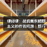 硬碰硬：战后美东粗野主义的作者问题｜旅行讲堂17介绍