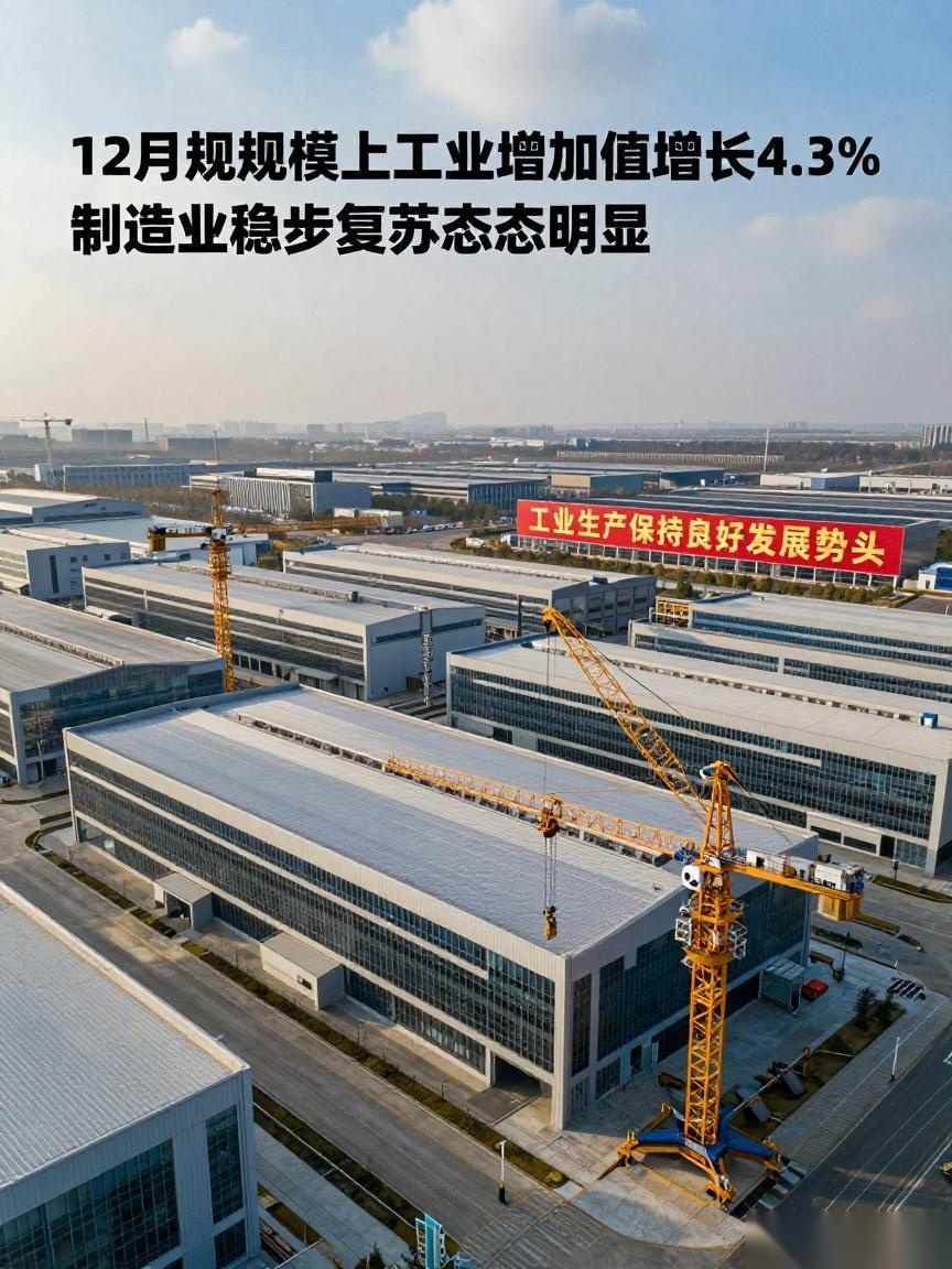 12月规模以上工业增加值增长4.3% 制造业稳步复苏态势明显