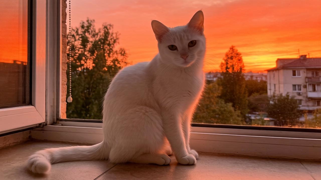 俄乌局势再生变数，四地突起争端！第一张图